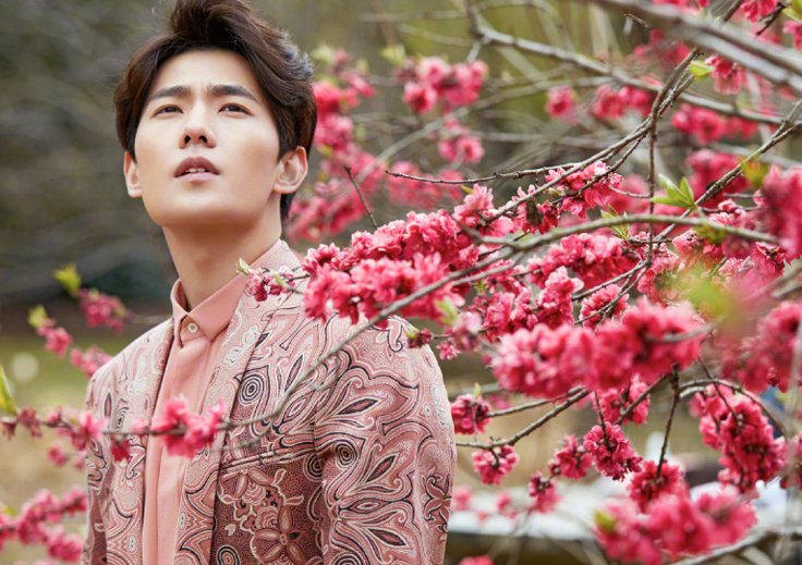 从属相的角度来说,哪一个生肖的人是最浪漫的?