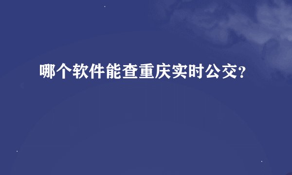 哪个软件能查重庆实时公交？