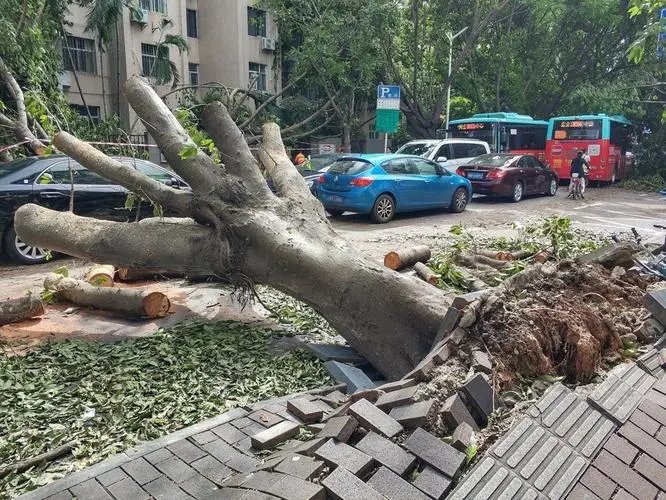 据报道：第9号台风“马鞍”生成，它将会途径哪些地方？