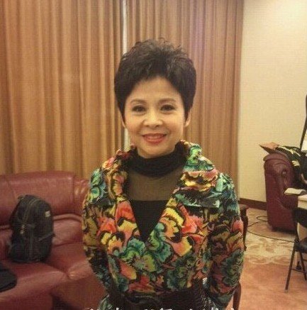 董文华唱过哪些歌?