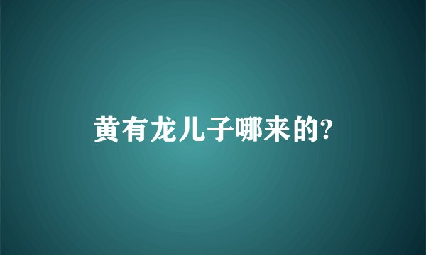 黄有龙儿子哪来的?
