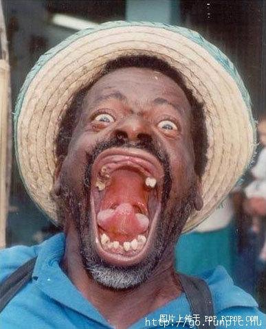 世界上最搞笑的图片