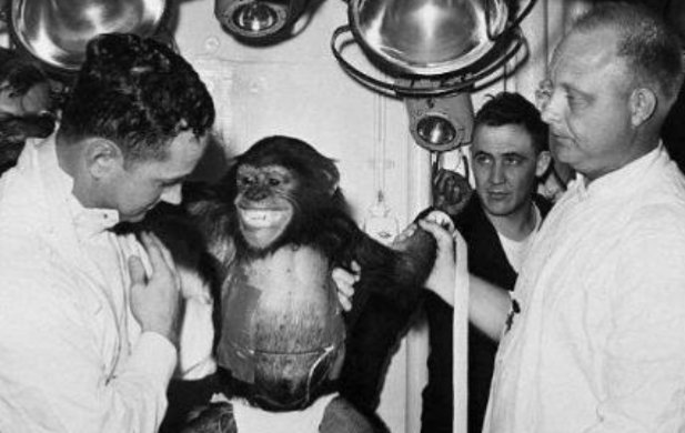 它是第一个“飞天”的黑猩猩汉姆,被发射到太空后,结局如何?