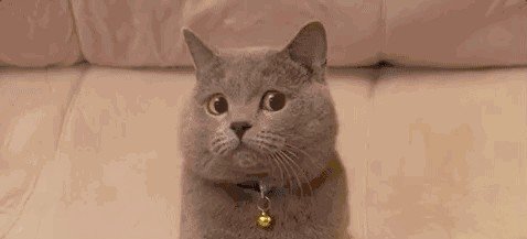 产后的减肥方法