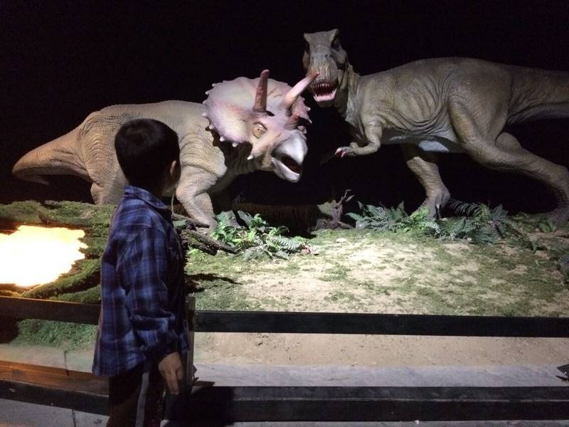 北京市的蟹岛好玩的地方有哪些?