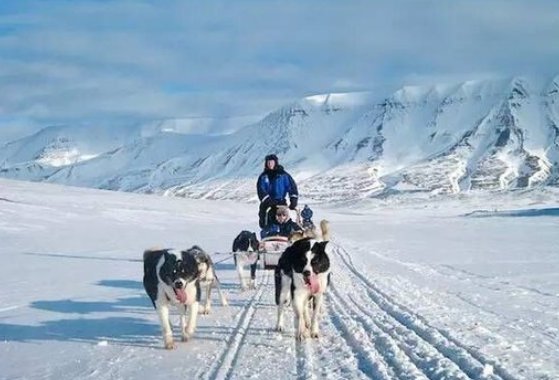 斯瓦尔巴群岛是中国的海外领地吗？现在还是中国的吗？