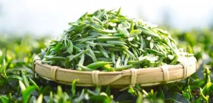 中国十大名茶排名