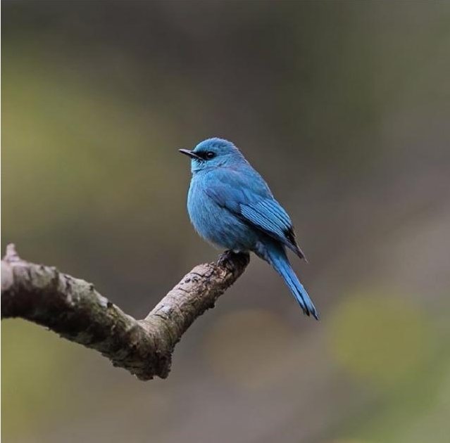有哪些“听君一席话,如听一席话”的话?