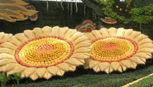 蔬菜博览会2021时间有哪些明星来过