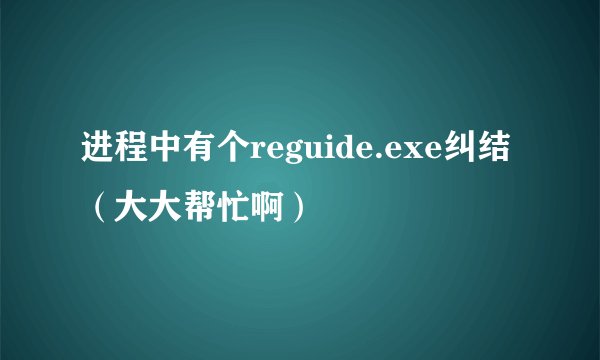 进程中有个reguide.exe纠结(大大帮忙啊)
