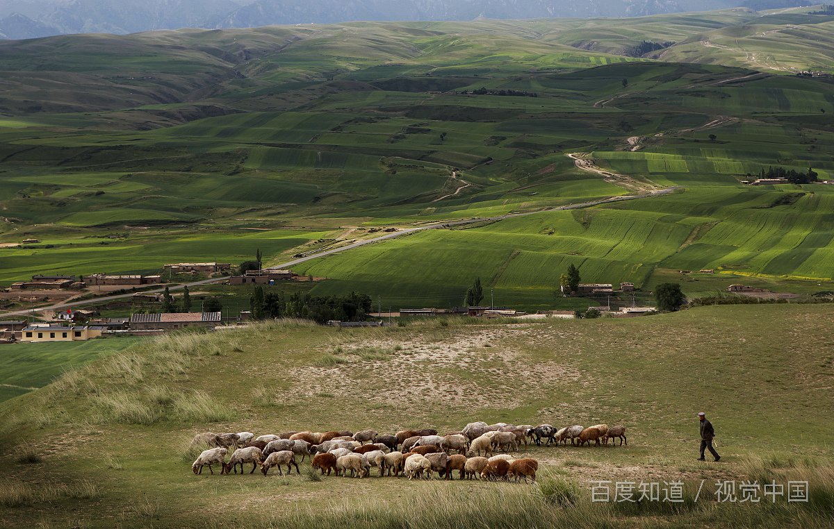 家乡的风俗作文450字？