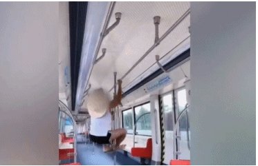 大连地铁回应两外国人攀爬扶手,公共场合没有素质的人有多让人厌恶?