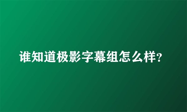 谁知道极影字幕组怎么样？