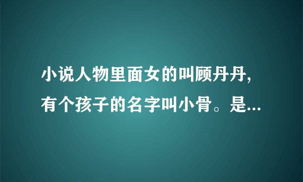 小说人物里面女的叫顾丹丹,有个孩子的名字叫小骨。是什么小说？