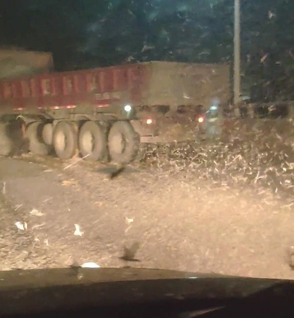 湖南沅江辟谣“蜉蝣大量聚集系自然灾害前兆”,这种情况很常见吗?