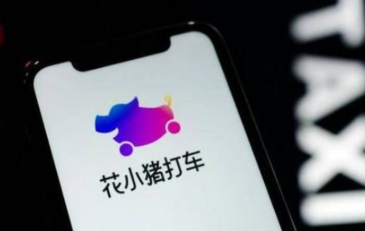 花小猪到底是什么“来头”？