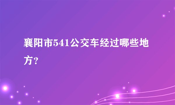 襄阳市541公交车经过哪些地方？