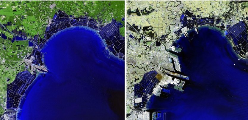 中国的东南地区包括哪些地方？