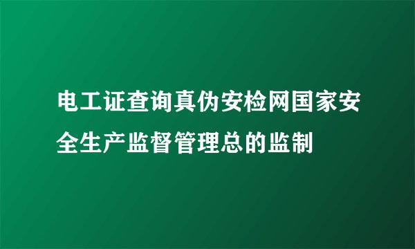 电工证查询真伪安检网国家安全生产监督管理总的监制
