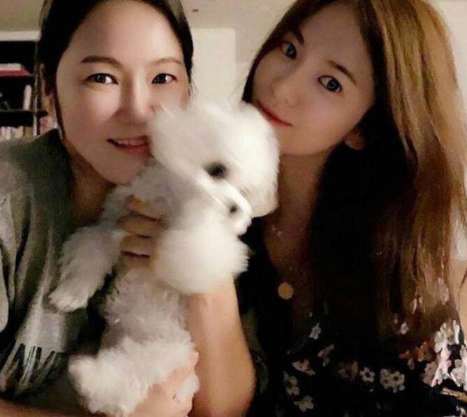 宋慧乔否认与玄彬复合，你期待两人复合吗？