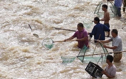 湖南一县突降暴雨市民街头抓鱼，当地防护措施开展的如何呢？