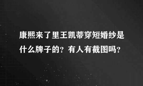 康熙来了里王凯蒂穿短婚纱是什么牌子的？有人有截图吗？