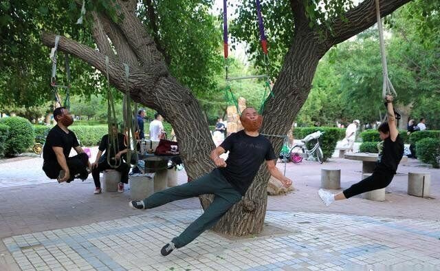 沈阳大爷大妈把头挂树上锻炼上热搜，你如何看待这种现象？