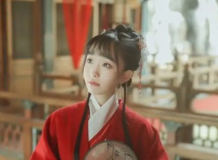 小豆蔻主要讲什么