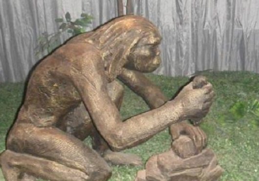 中国最早的原始人