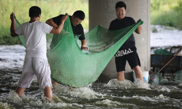 湖南一县突降暴雨市民街头抓鱼，当地防护措施开展的如何呢？