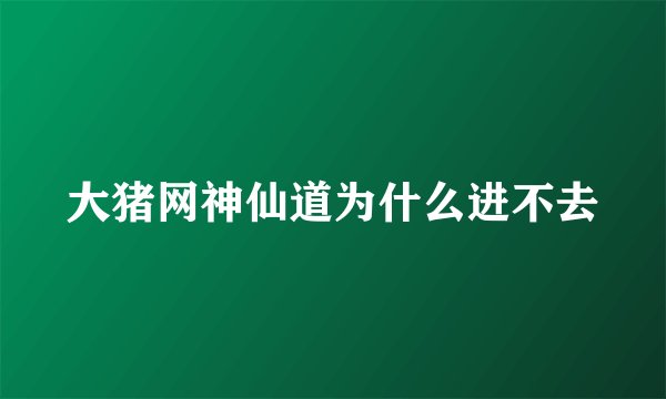 大猪网神仙道为什么进不去