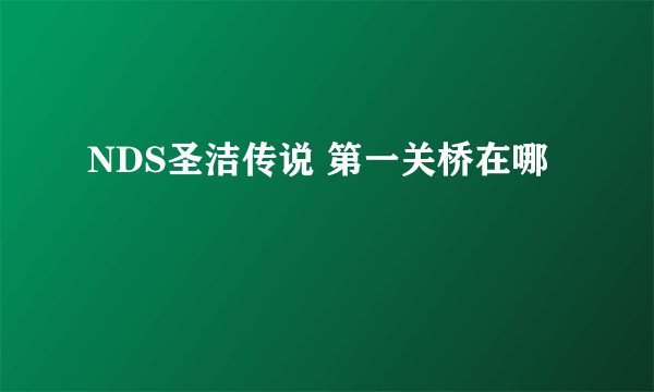 NDS圣洁传说 第一关桥在哪