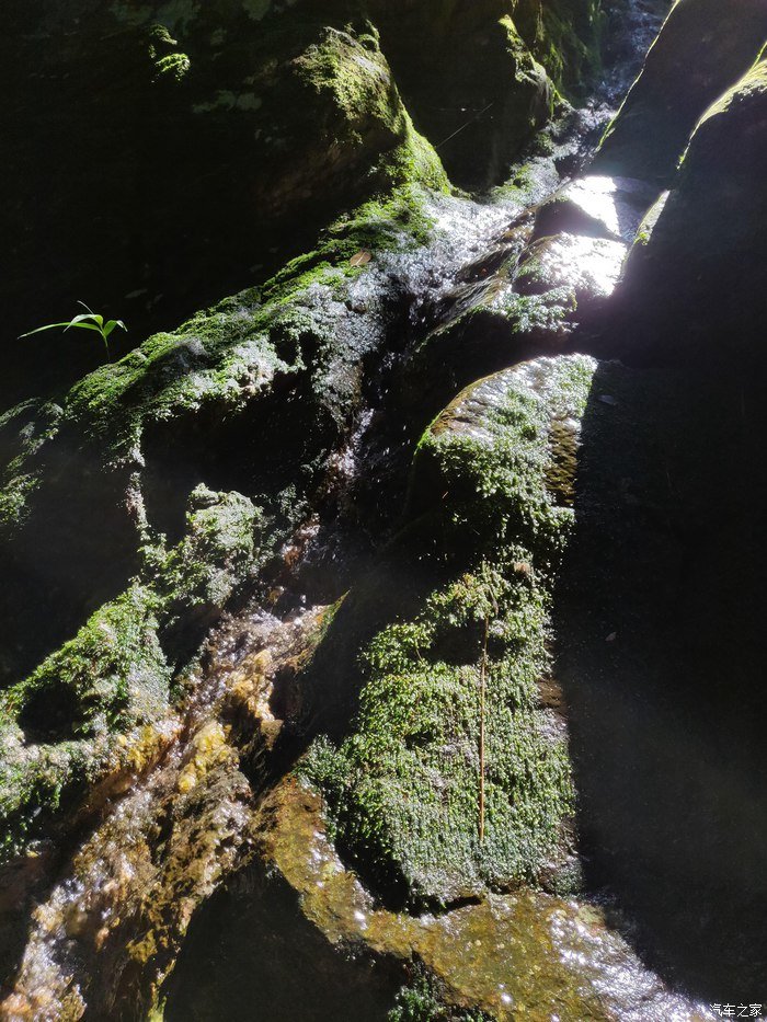 北夷南豸,丹霞双绝——与吉利ICON的冠豸山一日游