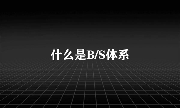 什么是B/S体系