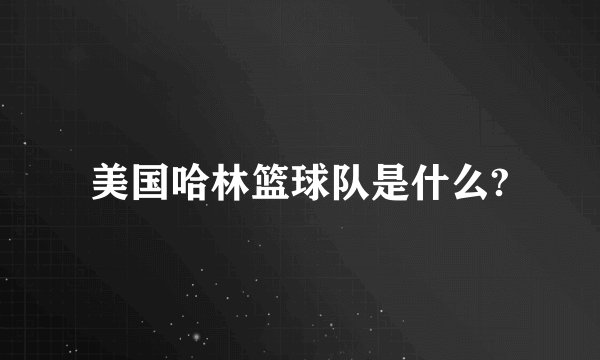 美国哈林篮球队是什么?