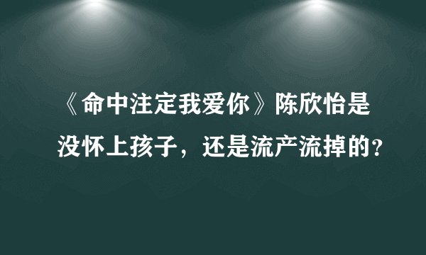 《命中注定我爱你》陈欣怡是没怀上孩子，还是流产流掉的？
