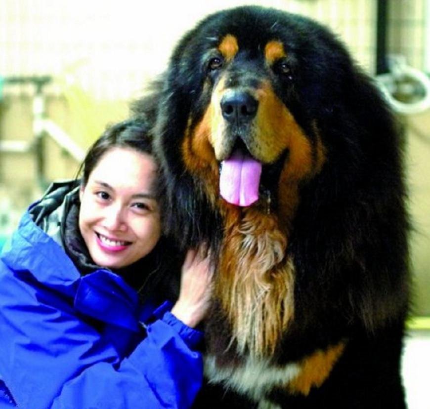 朱茵发文为黄贯中庆生,两人是怎样保持恩爱如初的?