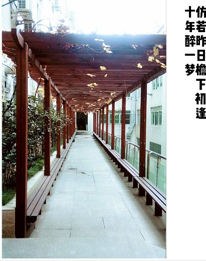 仿若昨日檐下初逢 十年醉一梦什么意思