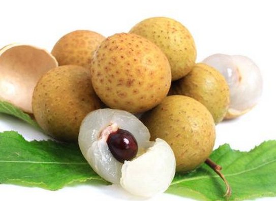 中国古代有什么水果