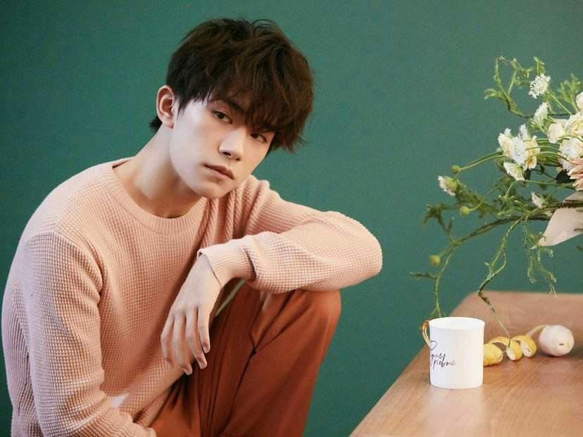 偶像选秀综艺乱象调查,灰色“集资”泛滥,资金该由谁管理?