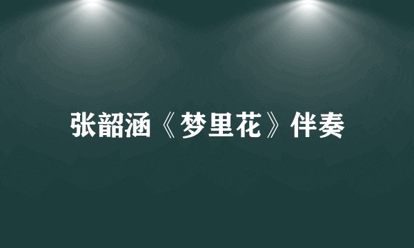 张韶涵《梦里花》伴奏