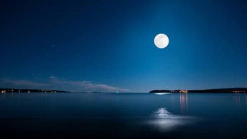 中秋节作文按点面结合的方法写500字?