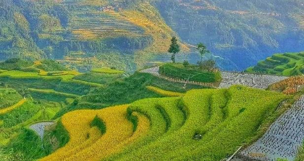 云南最惊艳梯田,为啥被称为“上帝的指纹”?