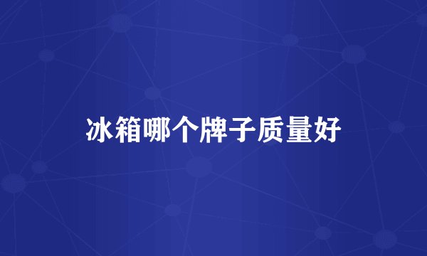 冰箱哪个牌子质量好