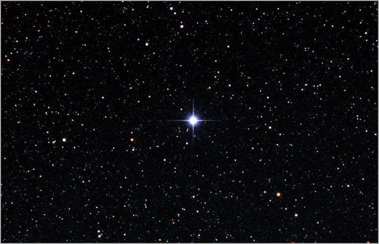 跪求天狼星的高清图片