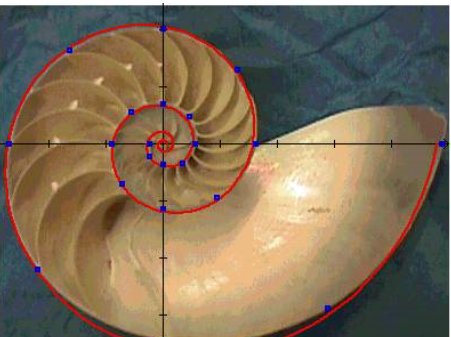 黄金比例的算法和黄金比是多少