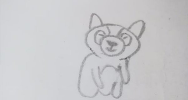 浣熊的简笔画怎么画？