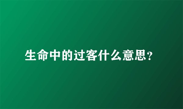 生命中的过客什么意思？