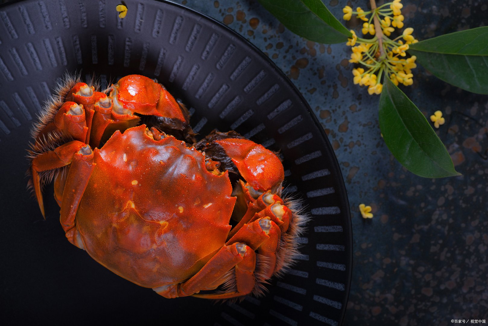 如何挑选黄河口大闸蟹？它最正宗的做法是什么？