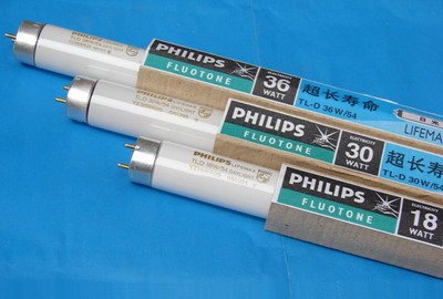 紧凑型荧光灯的详细资料